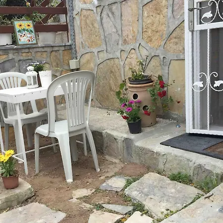 Villa Bhama Art House Bodrum