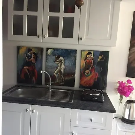 Villa Bhama Art House Bodrum